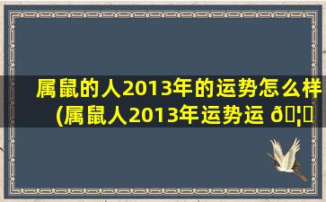 属鼠的人2013年的运势怎么样(属鼠人2013年运势运 🦉 程每月运程)